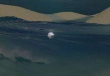 Phương pháp tìm kiếm vật thể rơi trên mặt biển động sóng