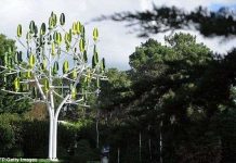 Cây nhân tạo phát điện nhờ sức gió