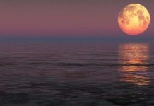 Siêu trăng có thể tạo "thủy triều vua" làm ngập vùng ven biển