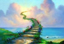 Hiện tượng "nhìn thấy thiên đường" qua lời kể của người chết đi sống lại