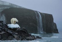 Chuyện gì xảy ra nếu Trái đất tiếp tục nóng lên? Chuyện gì xảy ra nếu Trái đất tiếp tục nóng lên?