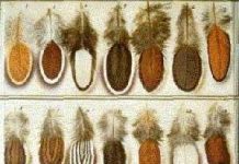 Vải làm từ rơm rạ và lông gà