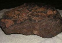 Amino axit giúp tìm hiểu nguồn gốc của sự sống Amino axit giúp tìm hiểu nguồn gốc của sự sống