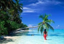 Khám phá bí mật của loại hạt lớn nhất thế giới