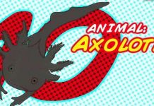 Những động vật sở hữu quyền năng siêu nhiên