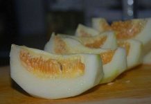 Ứng dụng công nghệ cao trồng dưa lê siêu ngọt