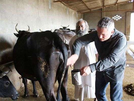 Phát minh kỳ quặc từ phân và nước tiểu tự cổ chí kim