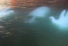 Thợ lặn chia sẻ câu chuyện có thật về ma nước