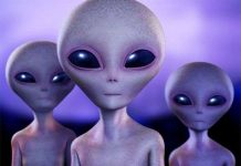 Người ngoài hành tinh nắm bí mật giao phối của muôn loài?