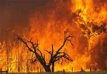 Cháy rừng lan rộng vượt ngoài kiểm soát tại Anh