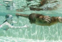 Khỉ học bơi như người