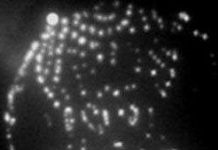 Vật liệu mới nhạy cảm như da người