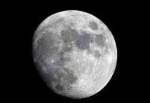 Bắt đầu tìm vàng trên Mặt trăng