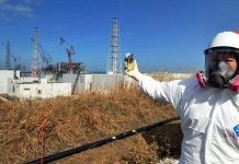 Tepco rút khỏi dự án hạt nhân ở Việt Nam Tepco rút khỏi dự án hạt nhân ở Việt Nam