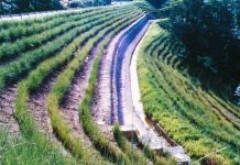 Chống sạt lở đất bằng thảm thực vật