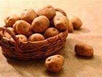 Tinh bột khoai tây tăng cường chất lượng giấy