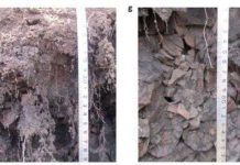 Vùng đất vẫn đóng băng dù trải qua một trong những mùa hè nóng nhất lịch sử