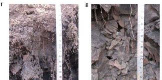 Vùng đất vẫn đóng băng dù trải qua một trong những mùa hè nóng nhất lịch sử