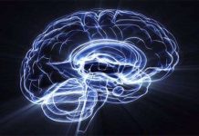 Người hiện đại không thông minh bằng người thế kỷ 19?