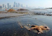 Bãi cát đen xuất hiện ở Trung Quốc