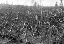 Sự kiện Tunguska, bí ẩn hơn một thế kỉ