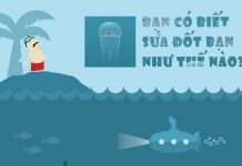 Bạn có biết sứa đốt chúng ta như thế nào?
