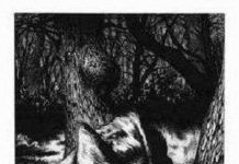 10 câu chuyện đáng sợ về người sói