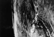 Bí ẩn đằng sau những sứ mệnh của Apollo