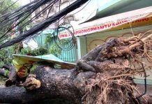 Hai người chết, hàng nghìn căn nhà bị tốc mái do bão Hai người chết, hàng nghìn căn nhà bị tốc mái do bão