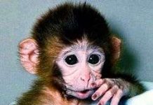 Những phát hiện lý thú về hành vi