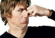 6 điều bất ngờ về trái sầu riêng không phải ai cũng biết