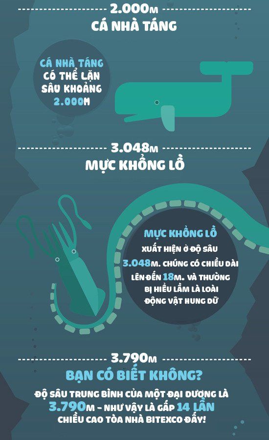 Độ sâu khó tin của biển xanh và những sự thật chẳng ai ngờ đến dưới đáy đại dương