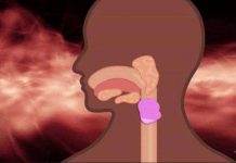 Điều gì xảy ra khi bạn nuốt kẹo cao su