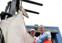 Bắt được thủy quái 150 tuổi Bắt được thủy quái 150 tuổi