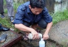 Bùn thải công nghiệp bón cây: Nguy hiểm!