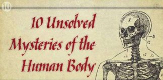 Những bí mật hóc búa nhất về cơ thể người