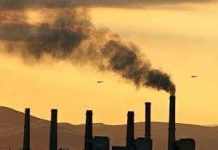 Sử dụng quang hợp để tái chế khí thải từ các nhà máy điện Sử dụng quang hợp để tái chế khí thải từ các nhà máy điện