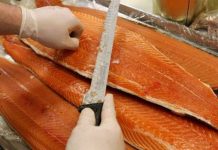 Cá hồi nuôi là thực phẩm độc hại nhất thế giới?