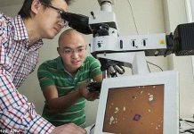 Ống kính máy ảnh mỏng hơn 2.000 lần so với tóc người