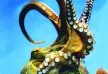 Lắm chân tay... để làm gì?