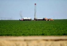 Đất đai khô cằn, Ả-Rập Xê-út đối phó bằng cách "xuất khẩu" hạn hán sang Mỹ như thế nào?