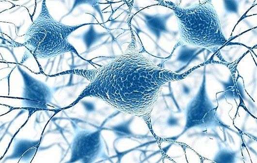 Bí kíp “đọc suy nghĩ” của người khác được FBI và CIA sử dụng