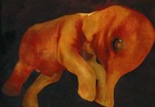 Trước lúc chào đời!