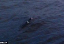 Thủy quái hồ Loch Ness lại xuất hiện