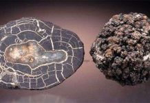 Có thể lấy đất hiếm từ đại dương