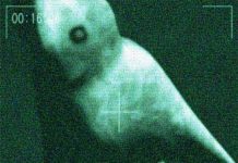 Phát hiện quái vật “tay năm ngón” giống người ở Nam Cực? Phát hiện quái vật "tay năm ngón" giống người ở Nam Cực?