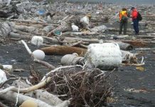 Rác sóng thần Nhật đổ bộ lên Alaska Rác sóng thần Nhật đổ bộ lên Alaska