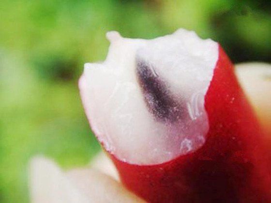 Quả thần kì ở Việt Nam có thể biến mọi vị thành vị ngọt