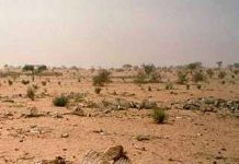 Trái đất ấm lên, những hậu quả nguy hại