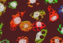 Phát hiện "quái vật" mới có khả năng xâm chiếm cơ thể người